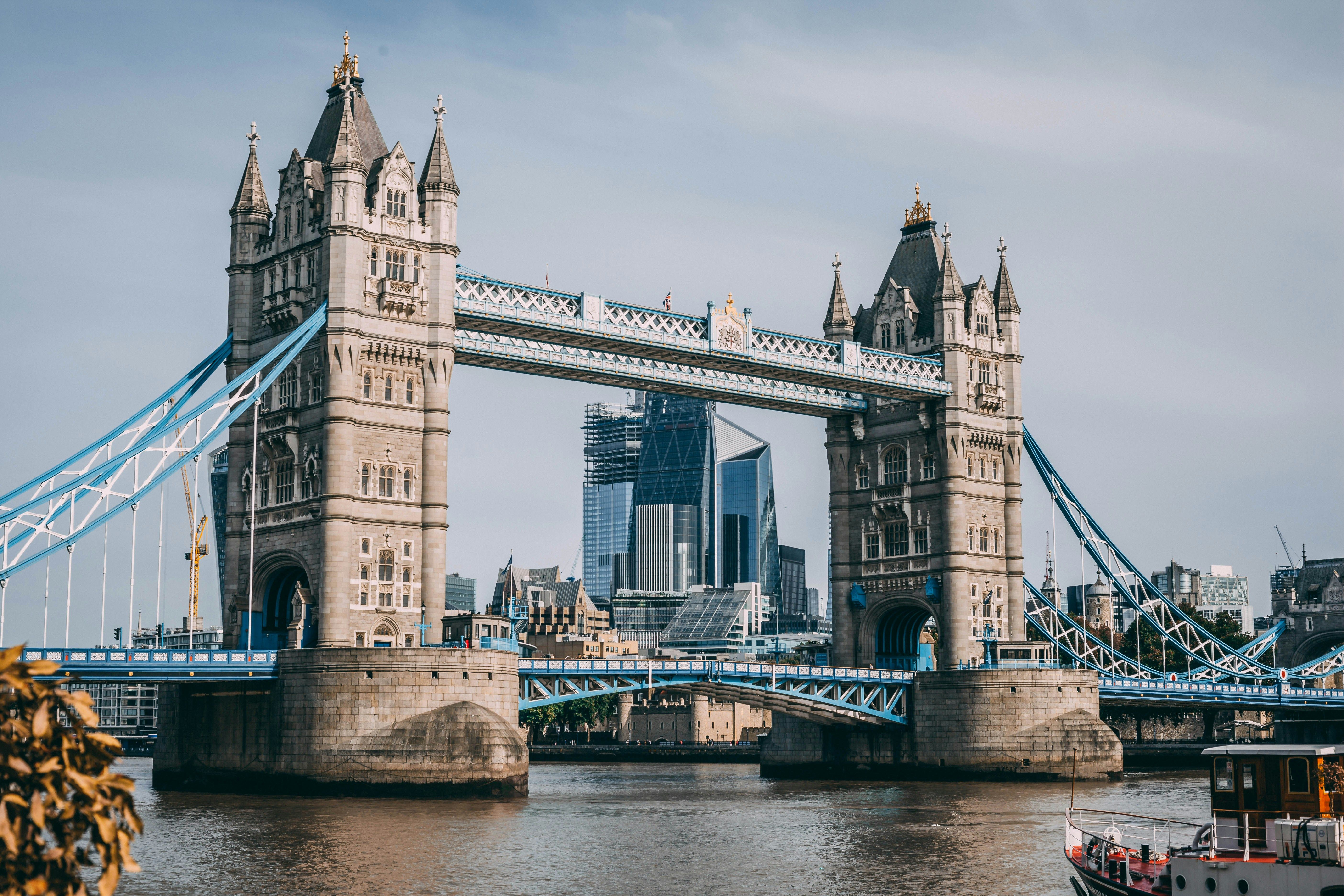 anticimex pest control london