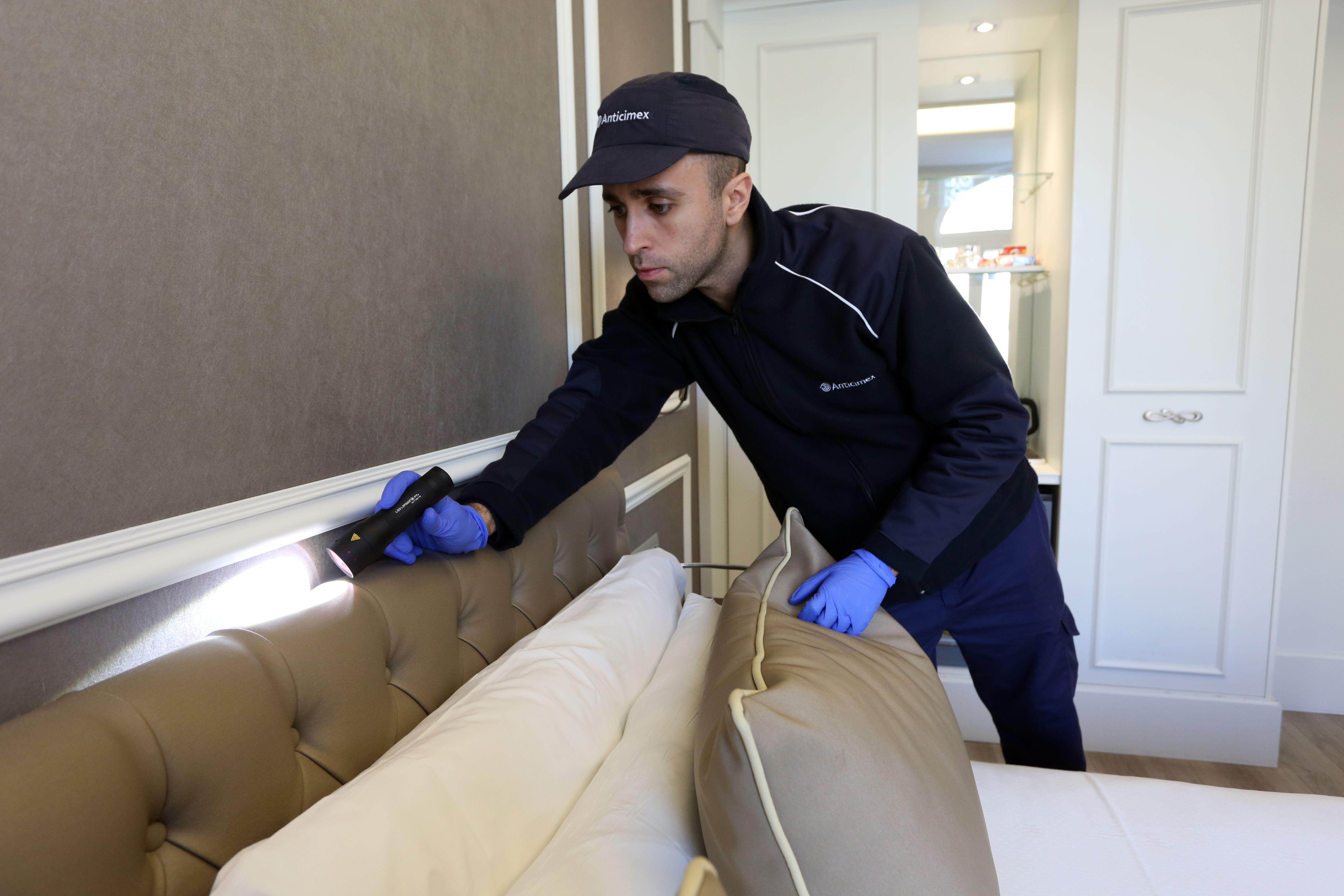 heat treatment against bedbugs