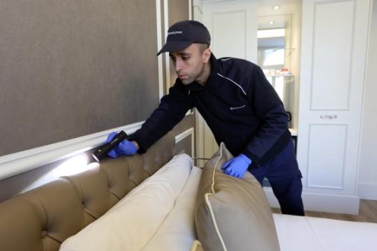 bed bug inspection & heat treatment