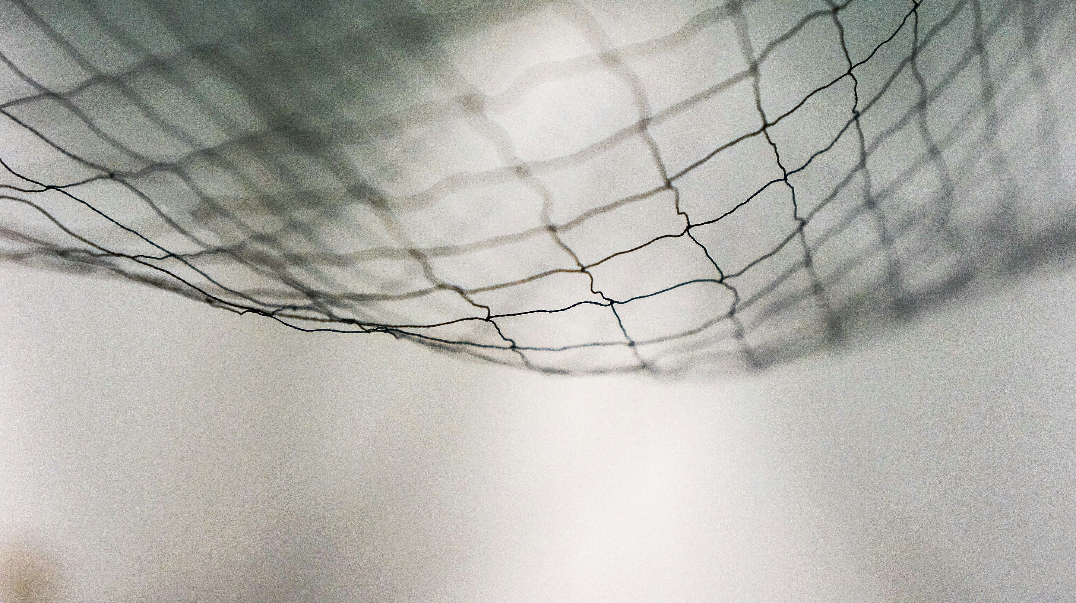 pigeon netting custom-made