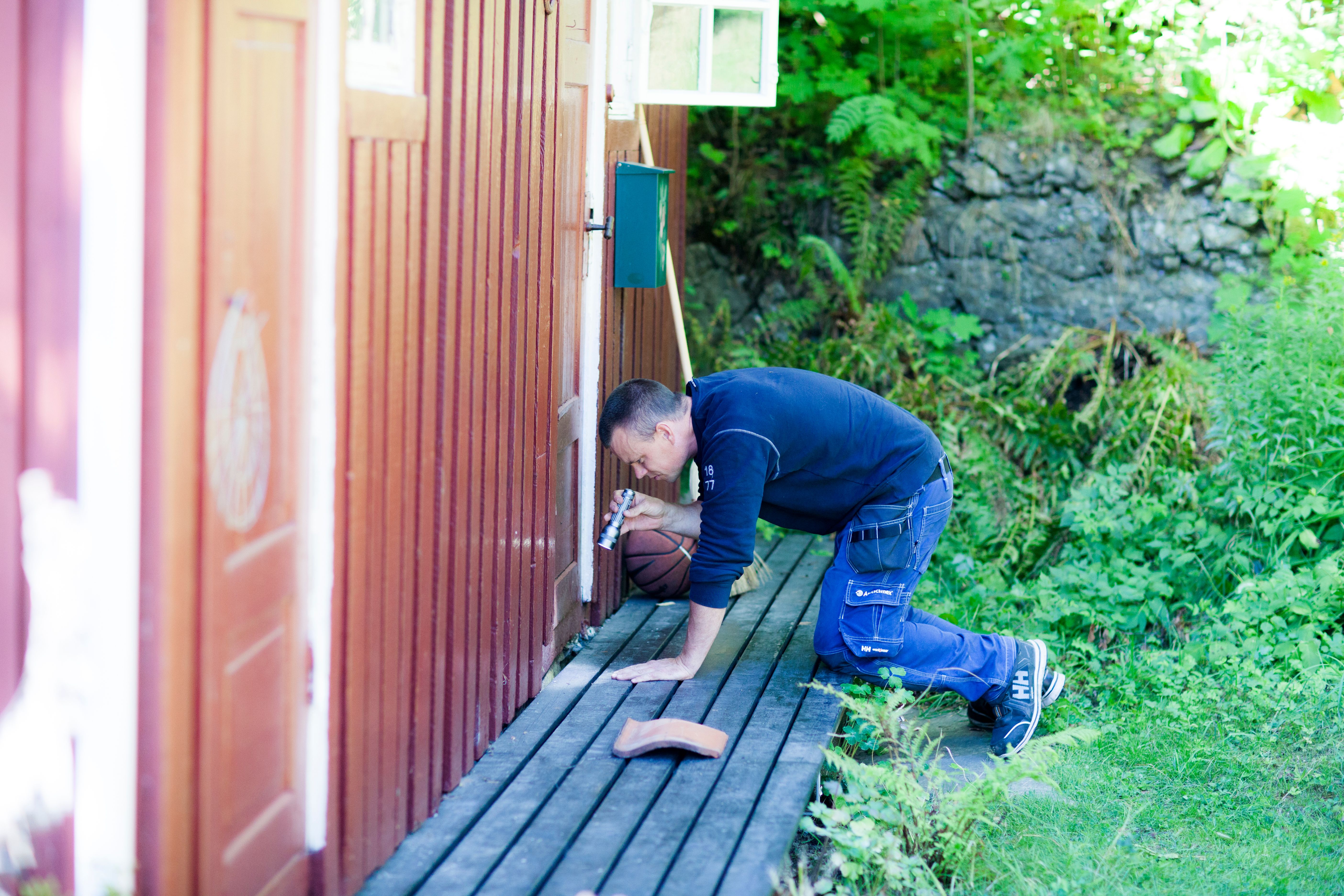 Pest Control for Home