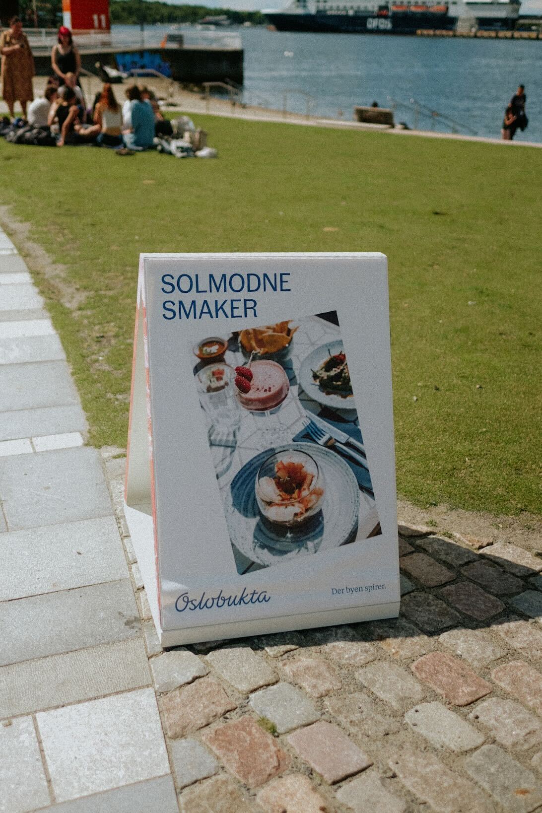 Gatebukk på stranda