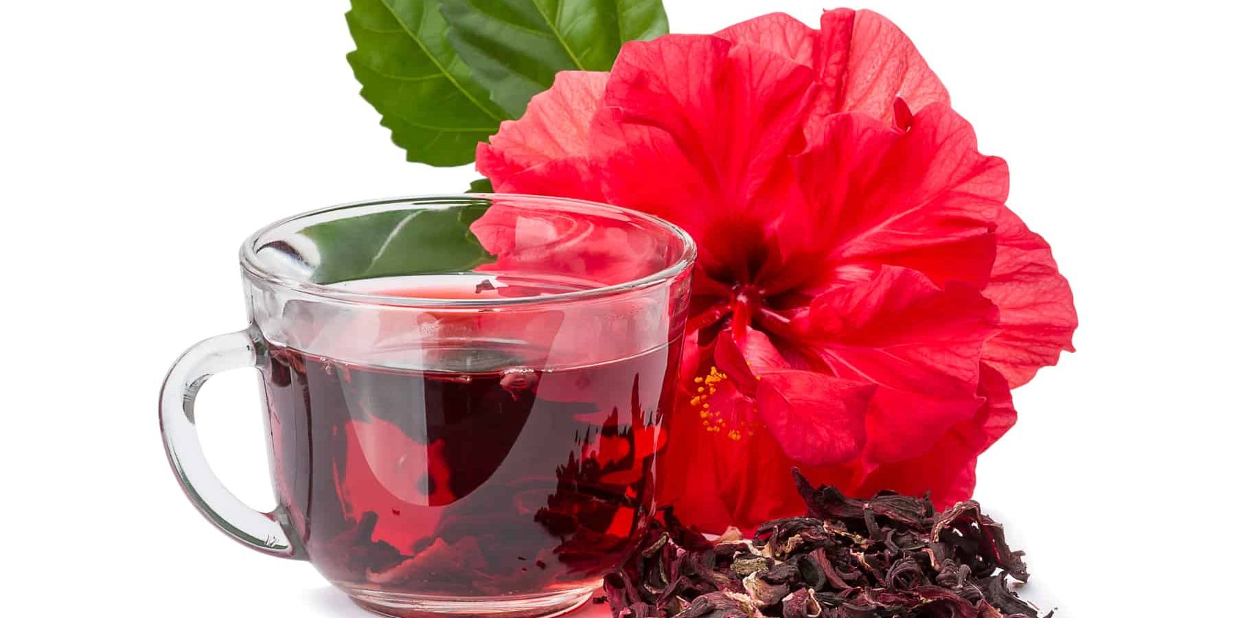 The Health Benefits of Hibiscus Flowers