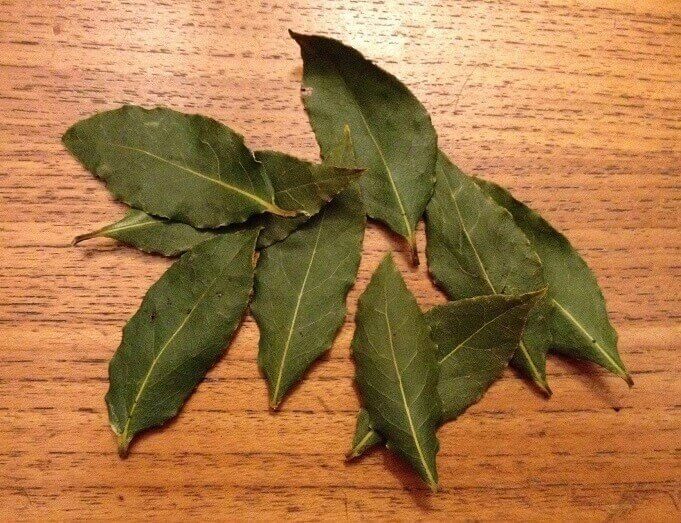 Bay Leaves