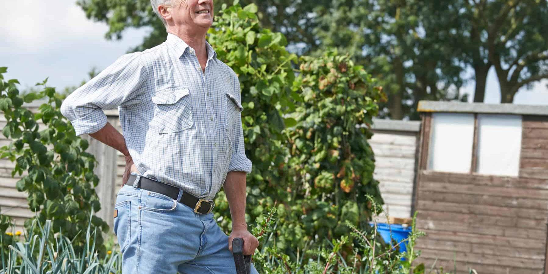Back ache in the garden