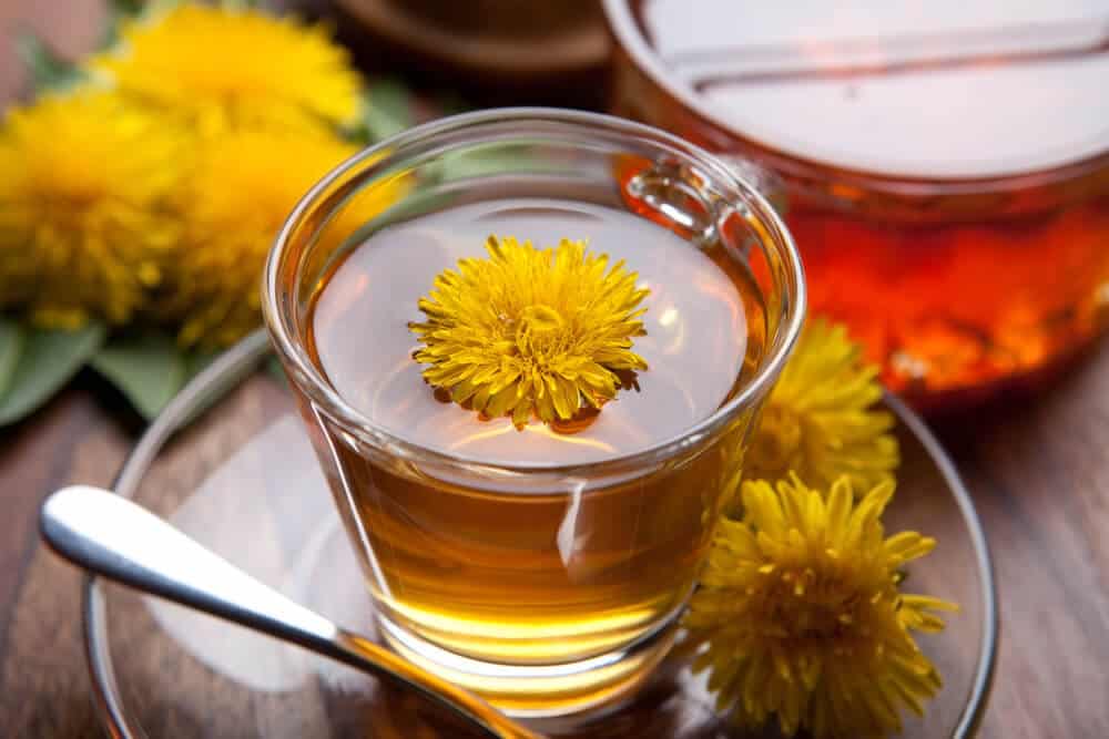 Dandelion tea