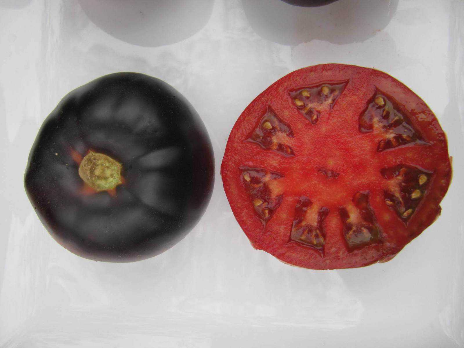 Black Beauty tomato
