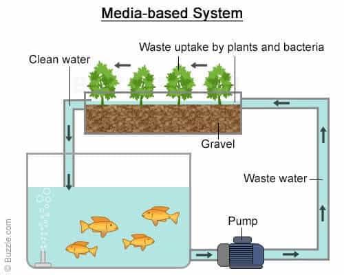 Media Based Aquaponics Systems