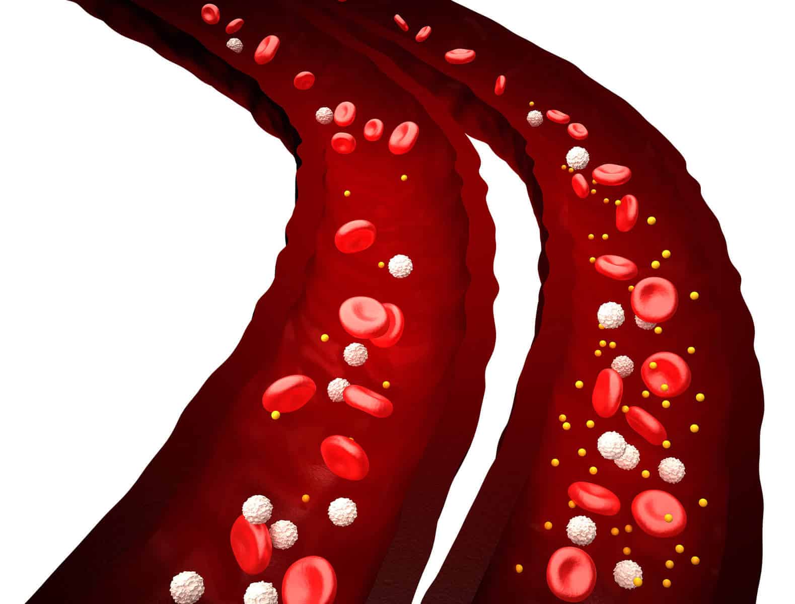 Blood Platelets