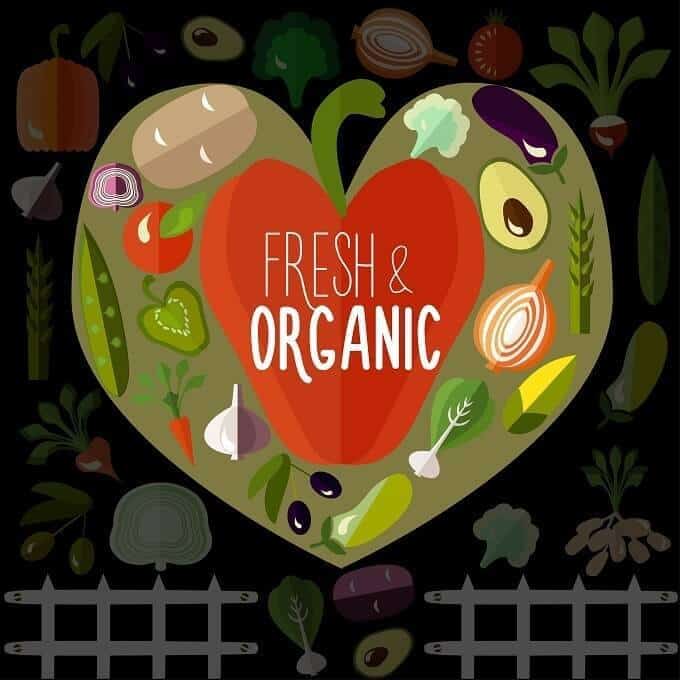 Fresh and organic vegetables from aquaponics