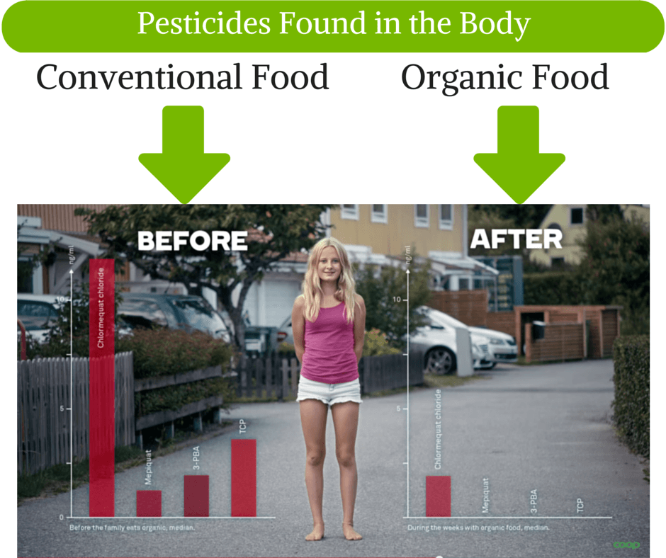 Pesticides in Conventional vs. Organic Food