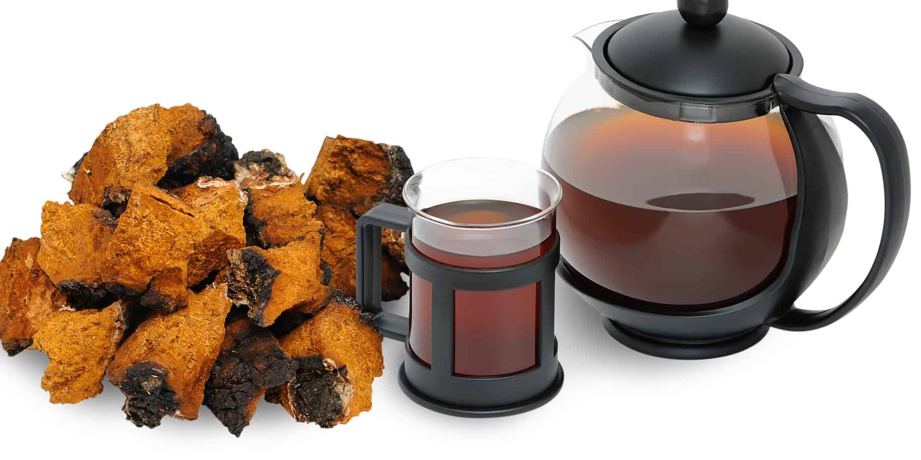 The health benefits of Chaga mushrooms