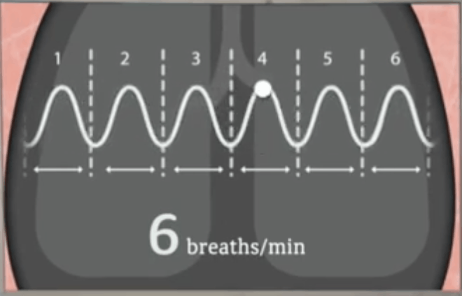 Breaths per minute - baroreflex