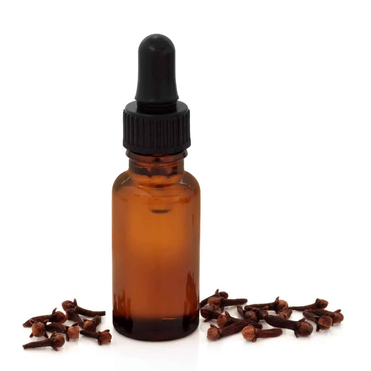 Clove Essential Oil