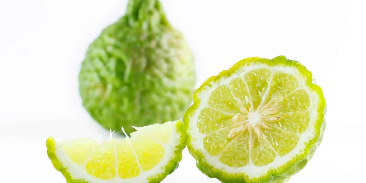 Bergamot Essential Oil