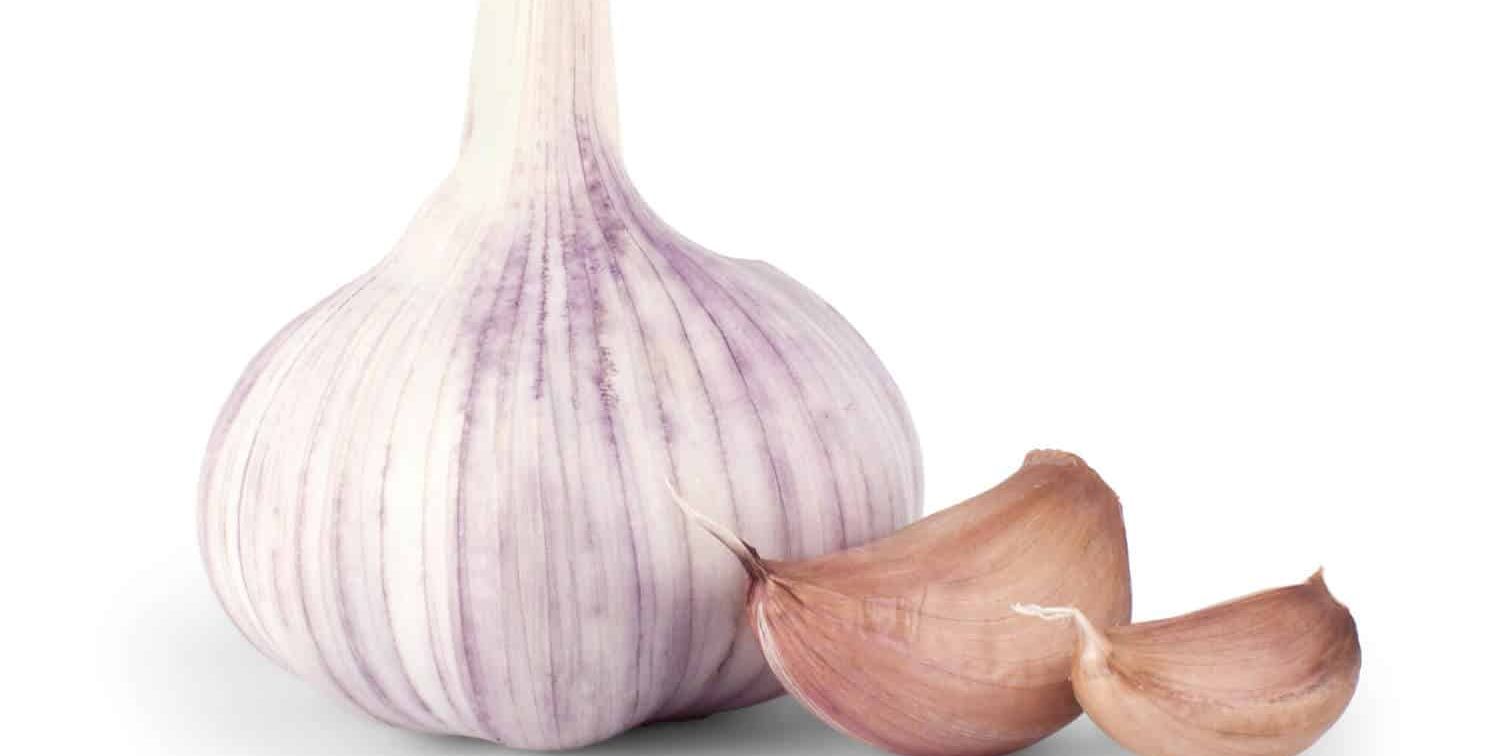Best Garlic Supplement