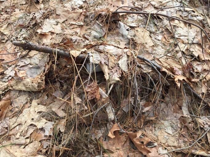 Hidden Tick Tube