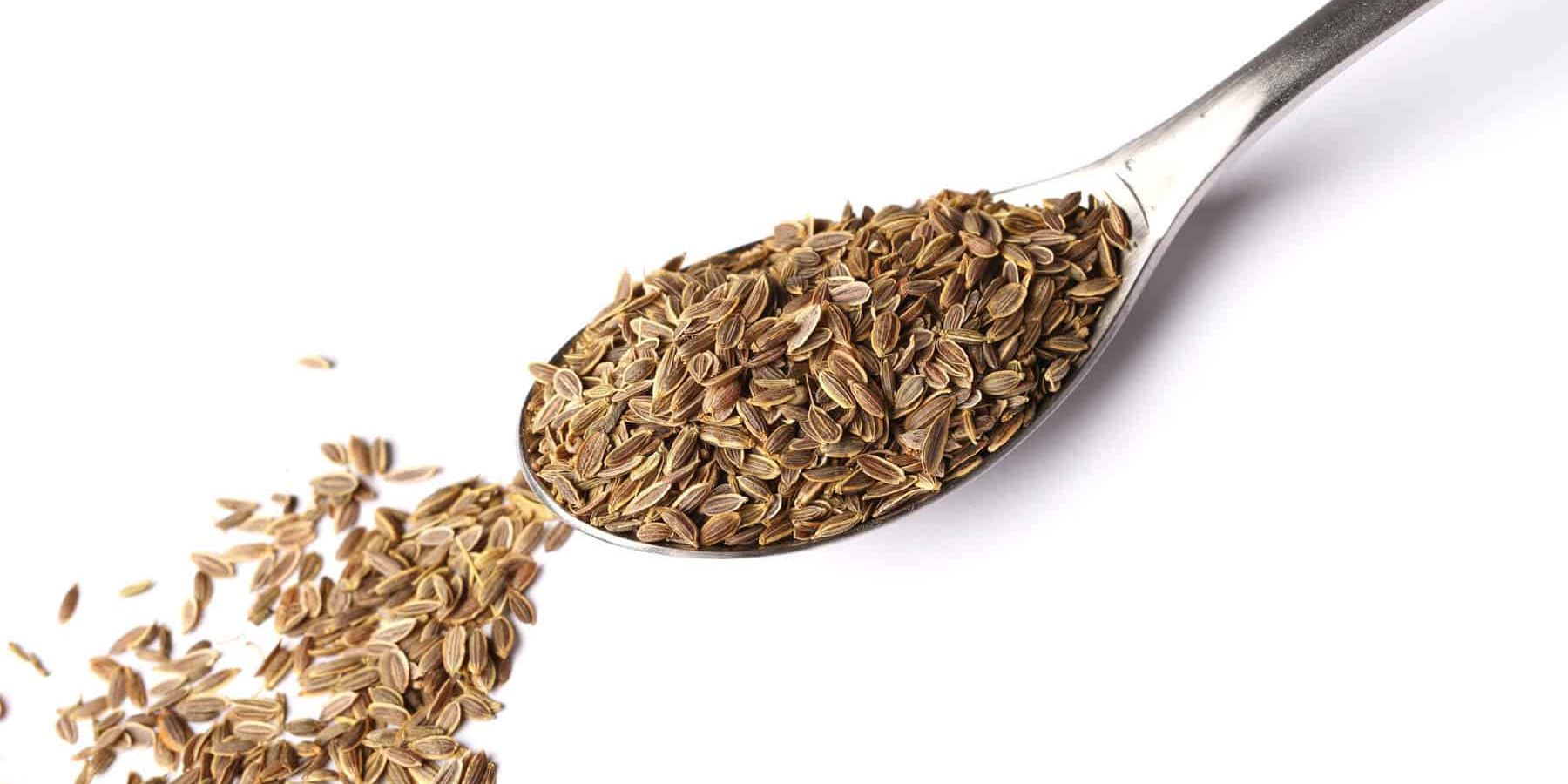 Dill Essential Oil