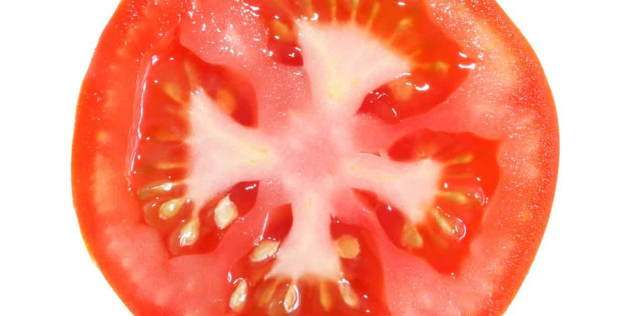 Saving Your Heirloom Tomato Seeds