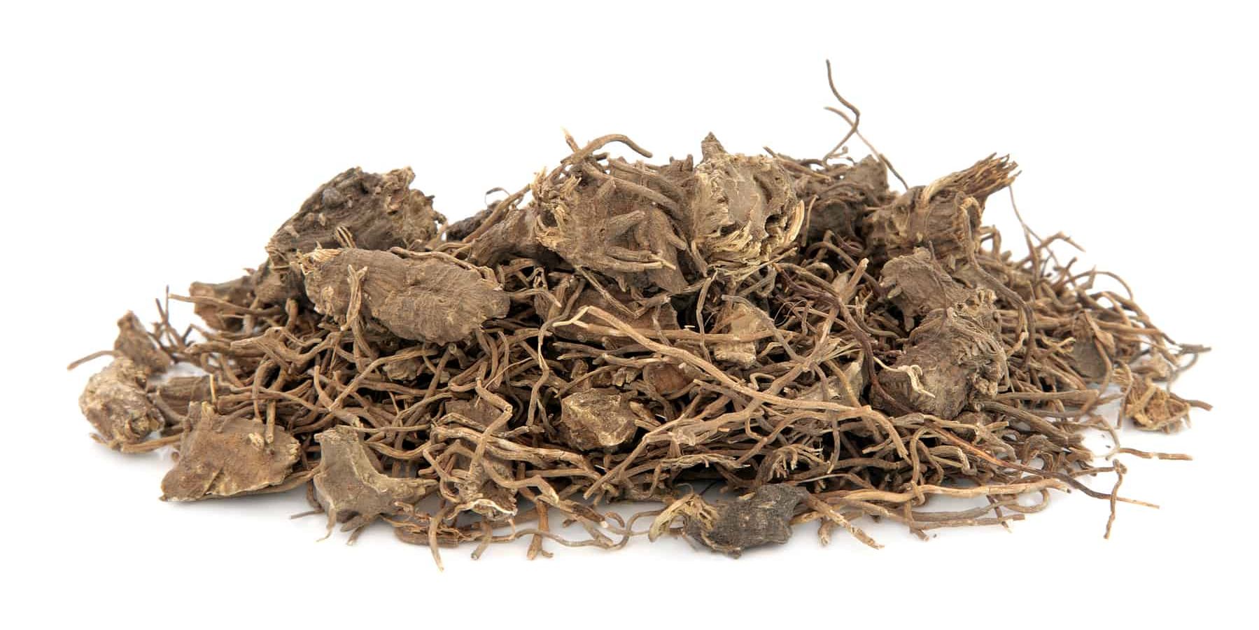 Choosing the Best Black Cohosh Supplement