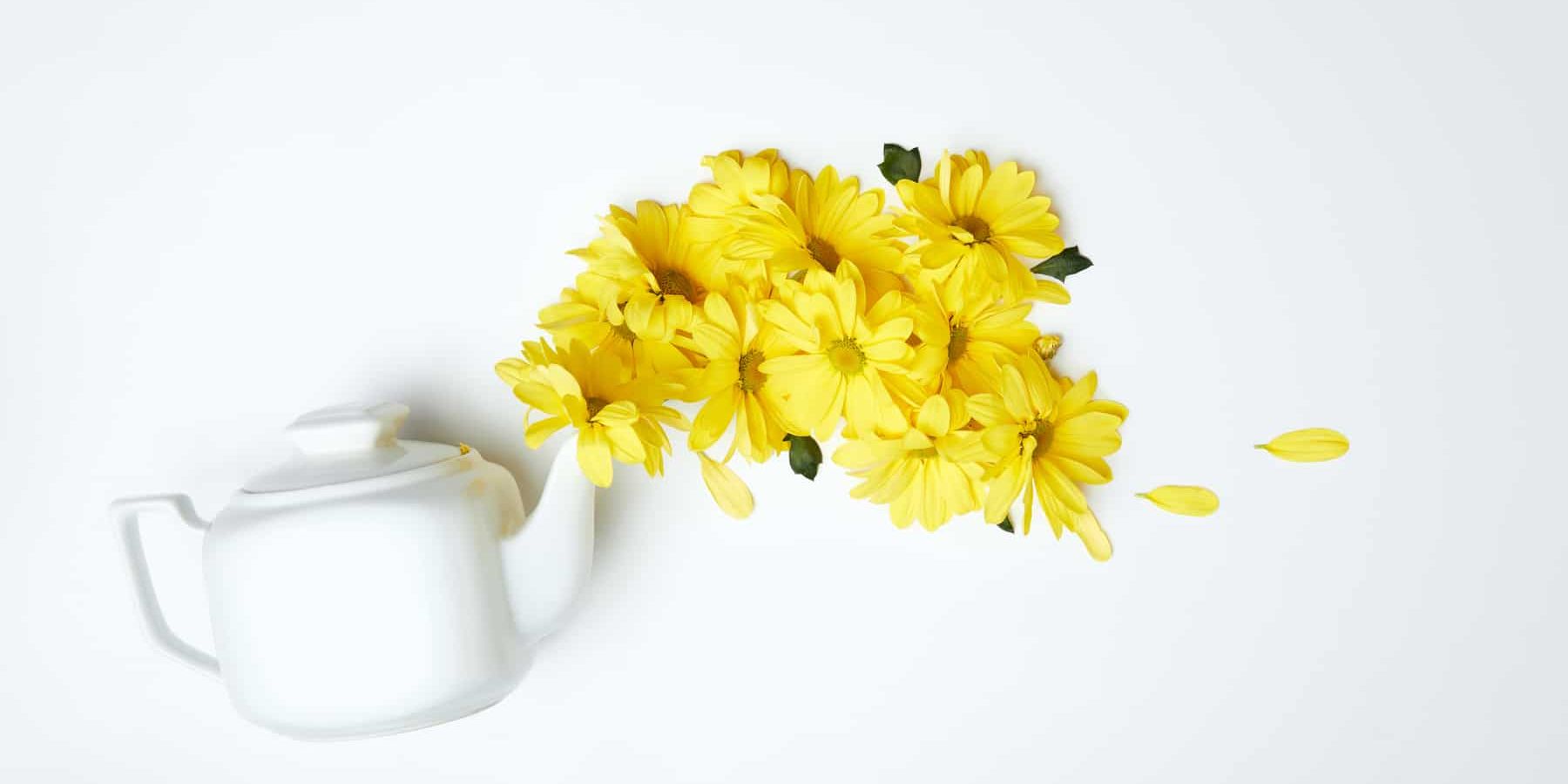 Camomile Tea Image