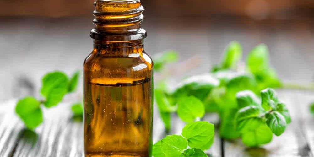 35 Amazing Uses of Peppermint Oil