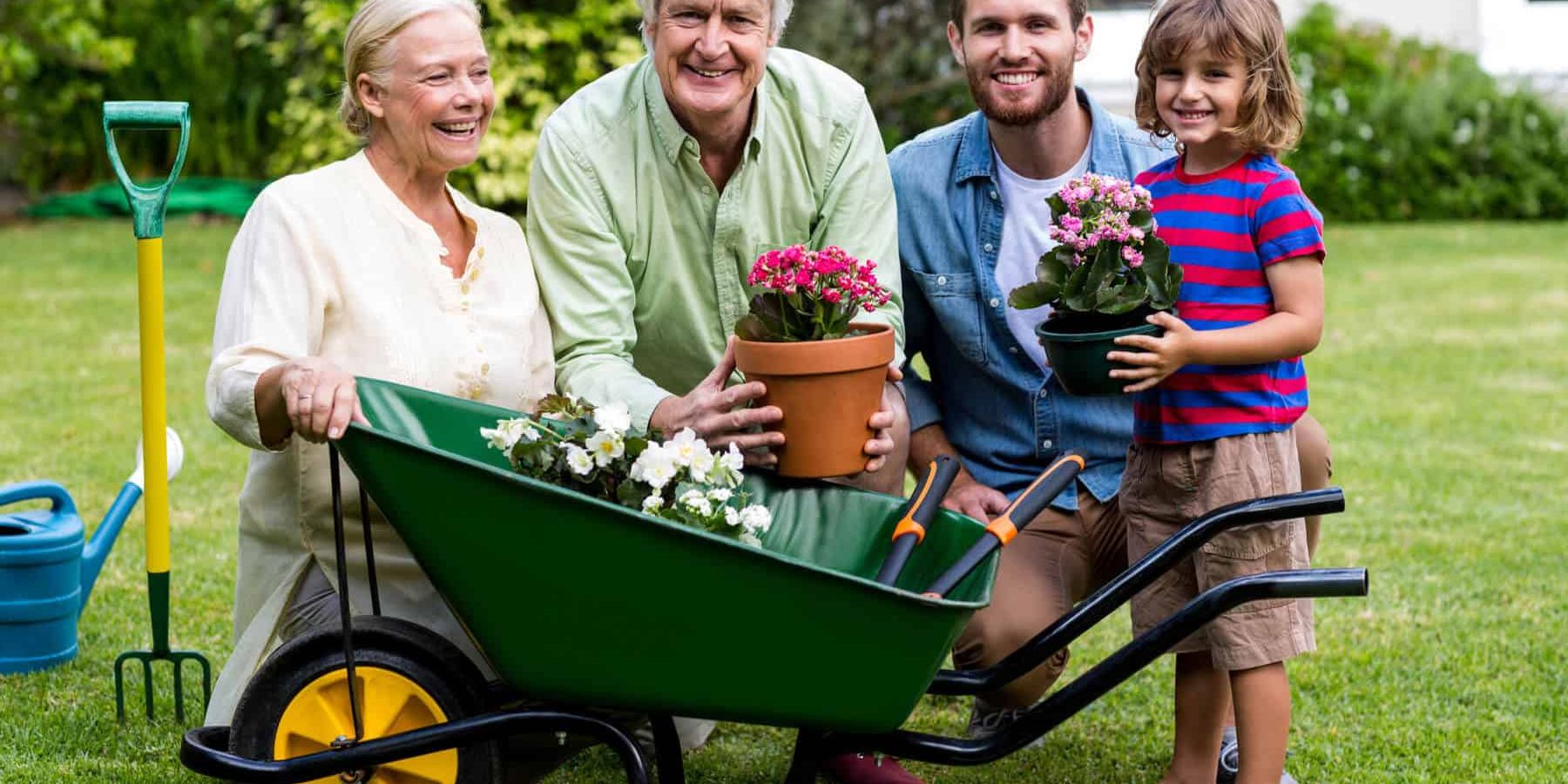 Choosing the best wheelbarrow