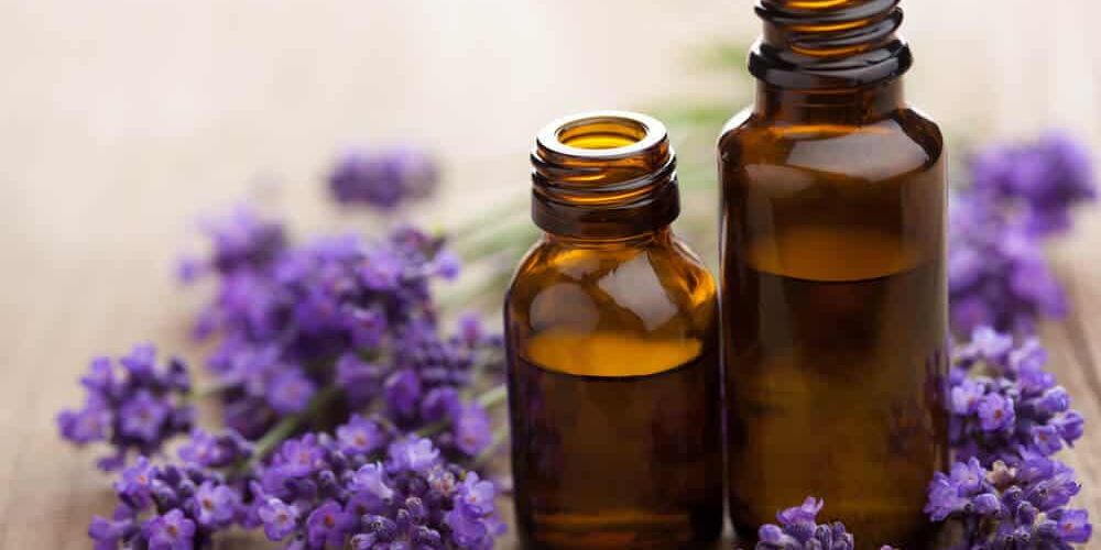 21 Amazing Health Uses of Lavender Oil