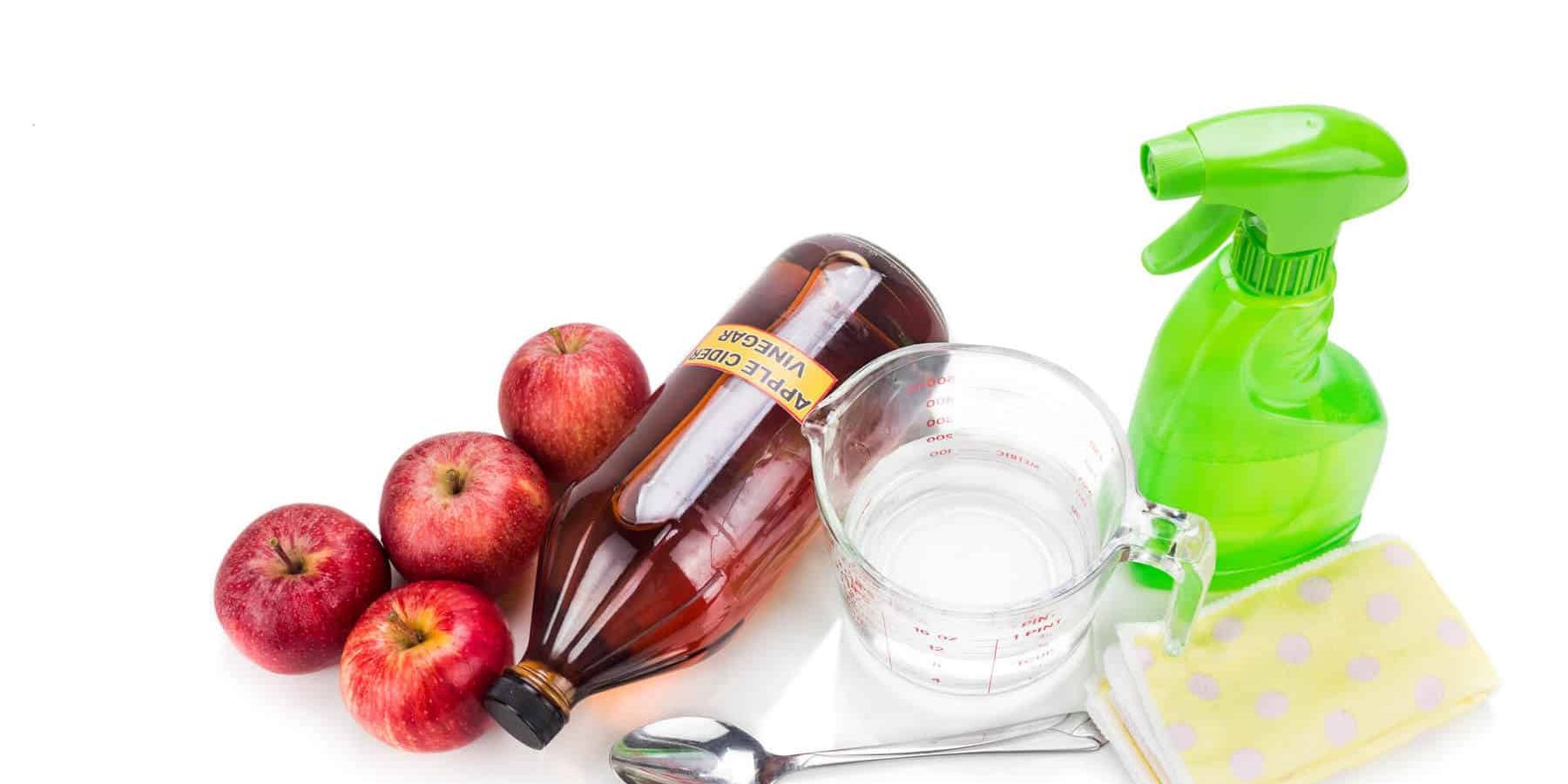 Can Apple Cider Vinegar Remove Bugs, Parasites, and Mold?