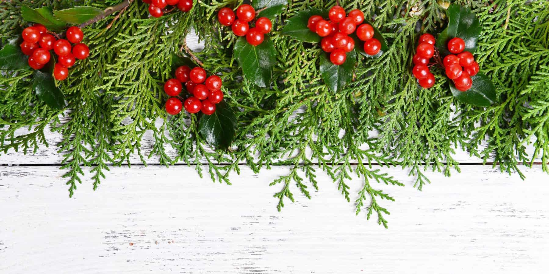 Christmas Diffuser Blends