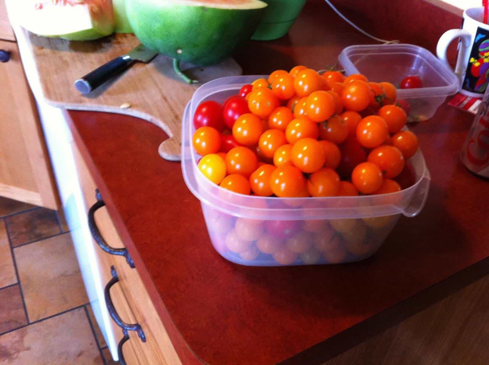 Sun sugar tomato