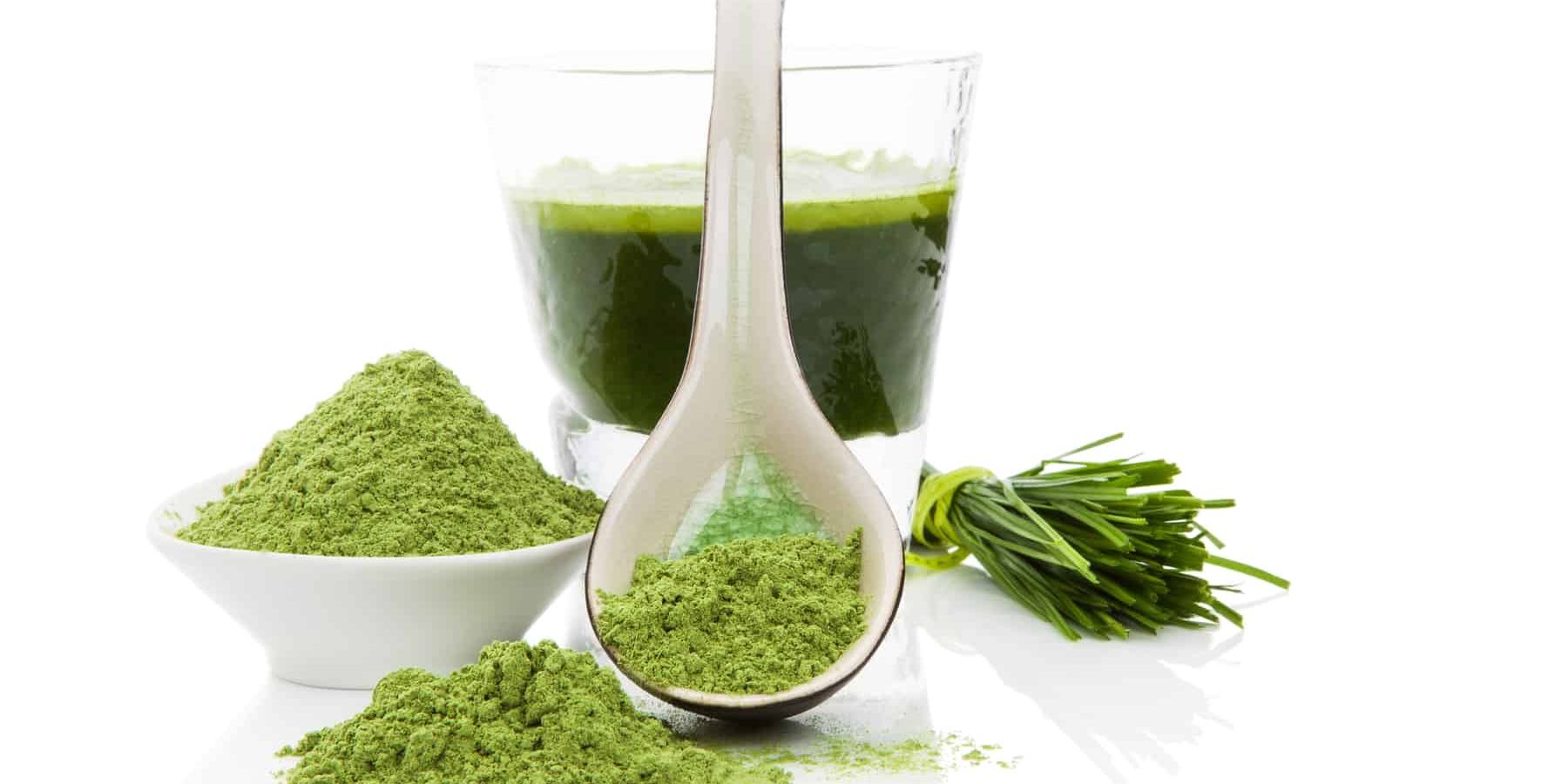 Choosing the Best Spirulina Supplement