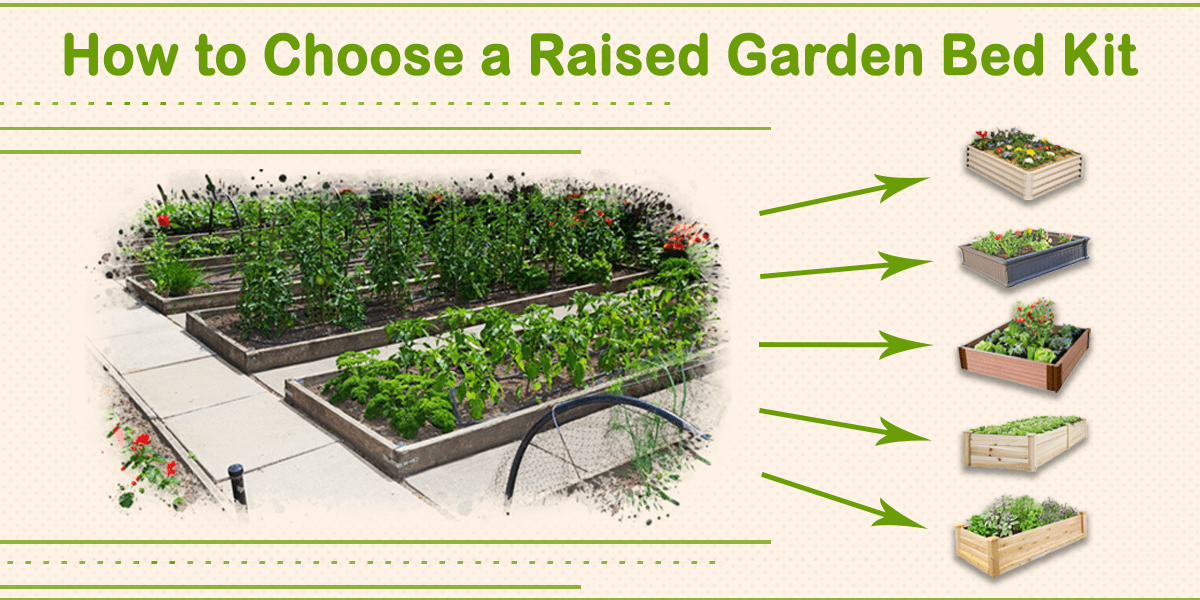 Best Raised Garden Bed Kit