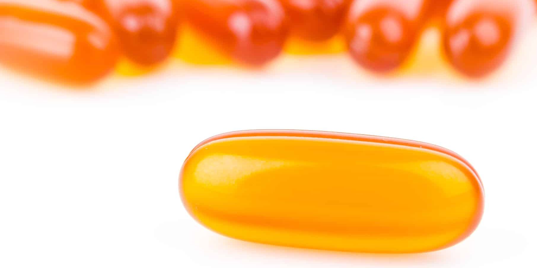 Choosing the Best Ox Bile Supplement