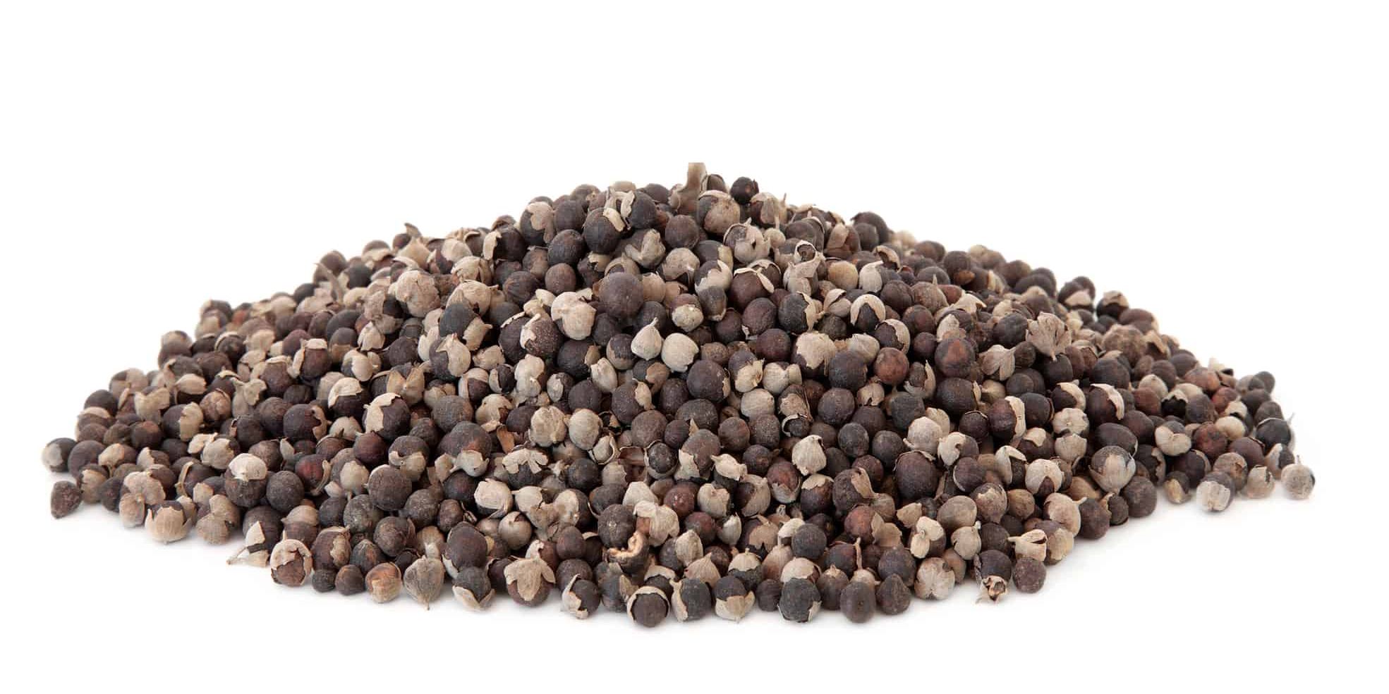 Choosing the Best Chasteberry (Vitex) Supplement