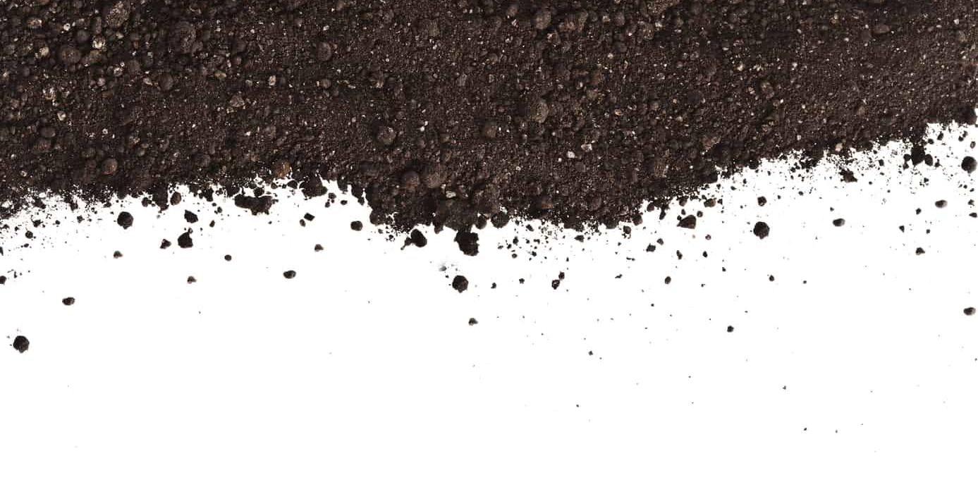How to Make Organic Compost
