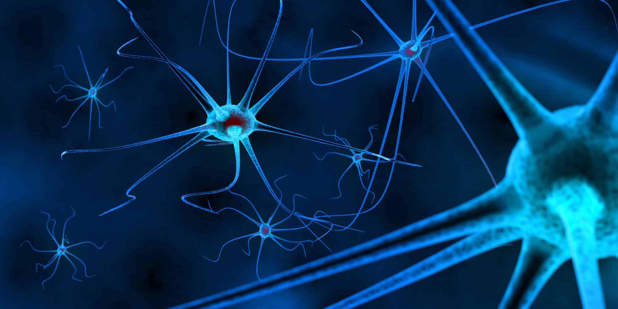 Best Brain Supplements