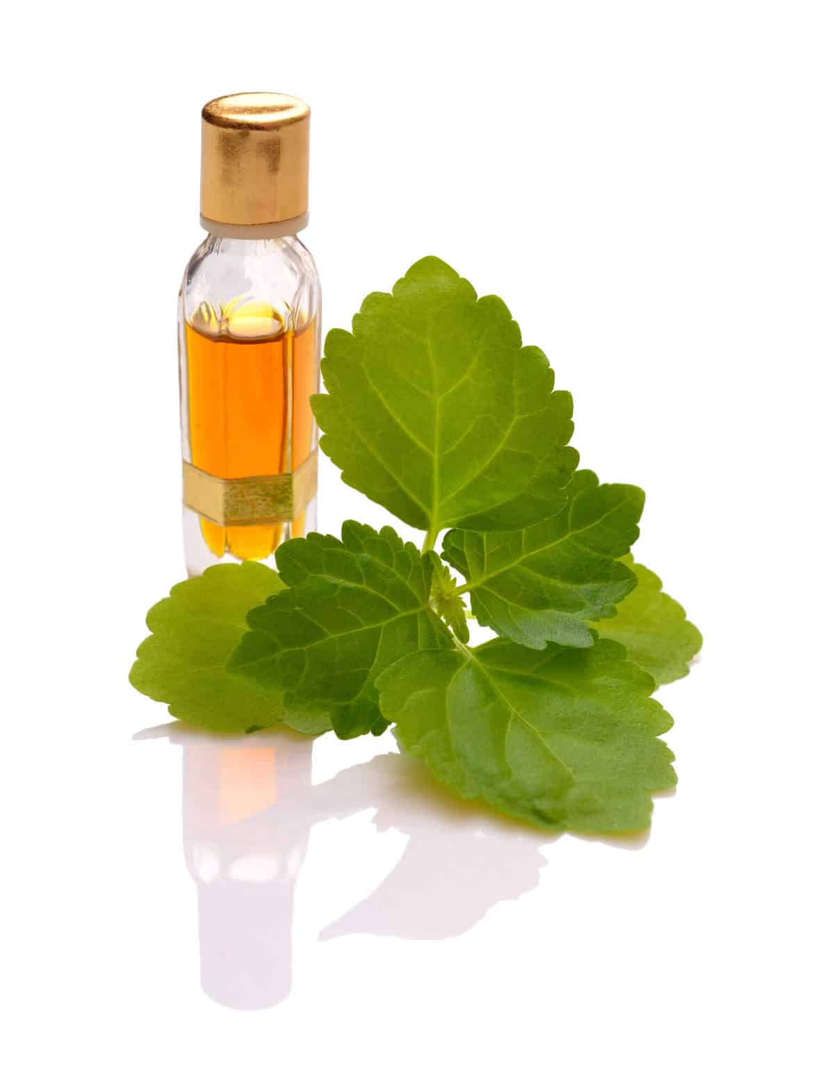 Patchouli Essential Oil