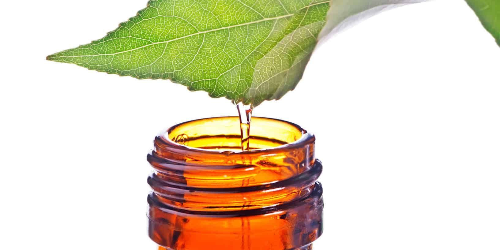 Helichrysum Essential Oil