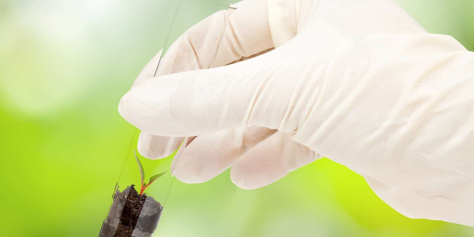How to Choose a Soil Tester
