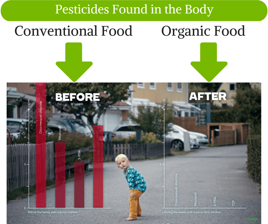 Pesticides in Children from Food