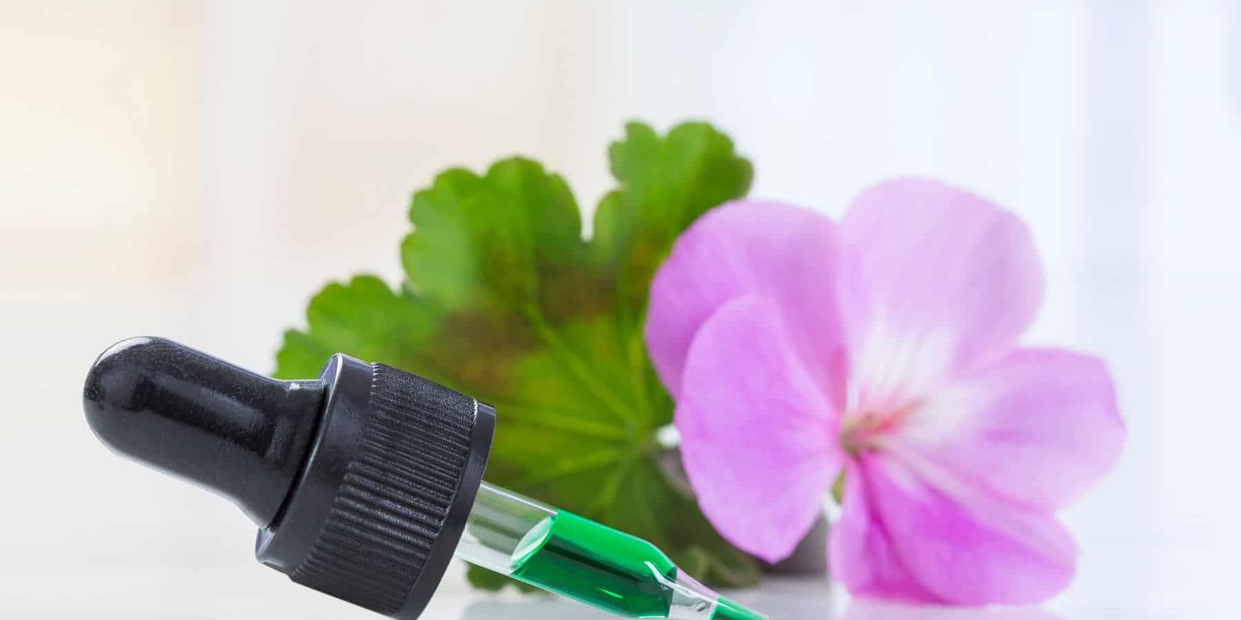 Geranium EssentialOil