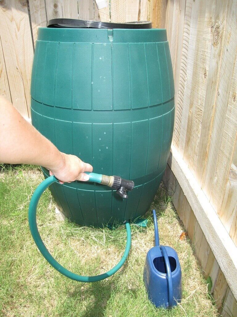 Back yard rain barrel