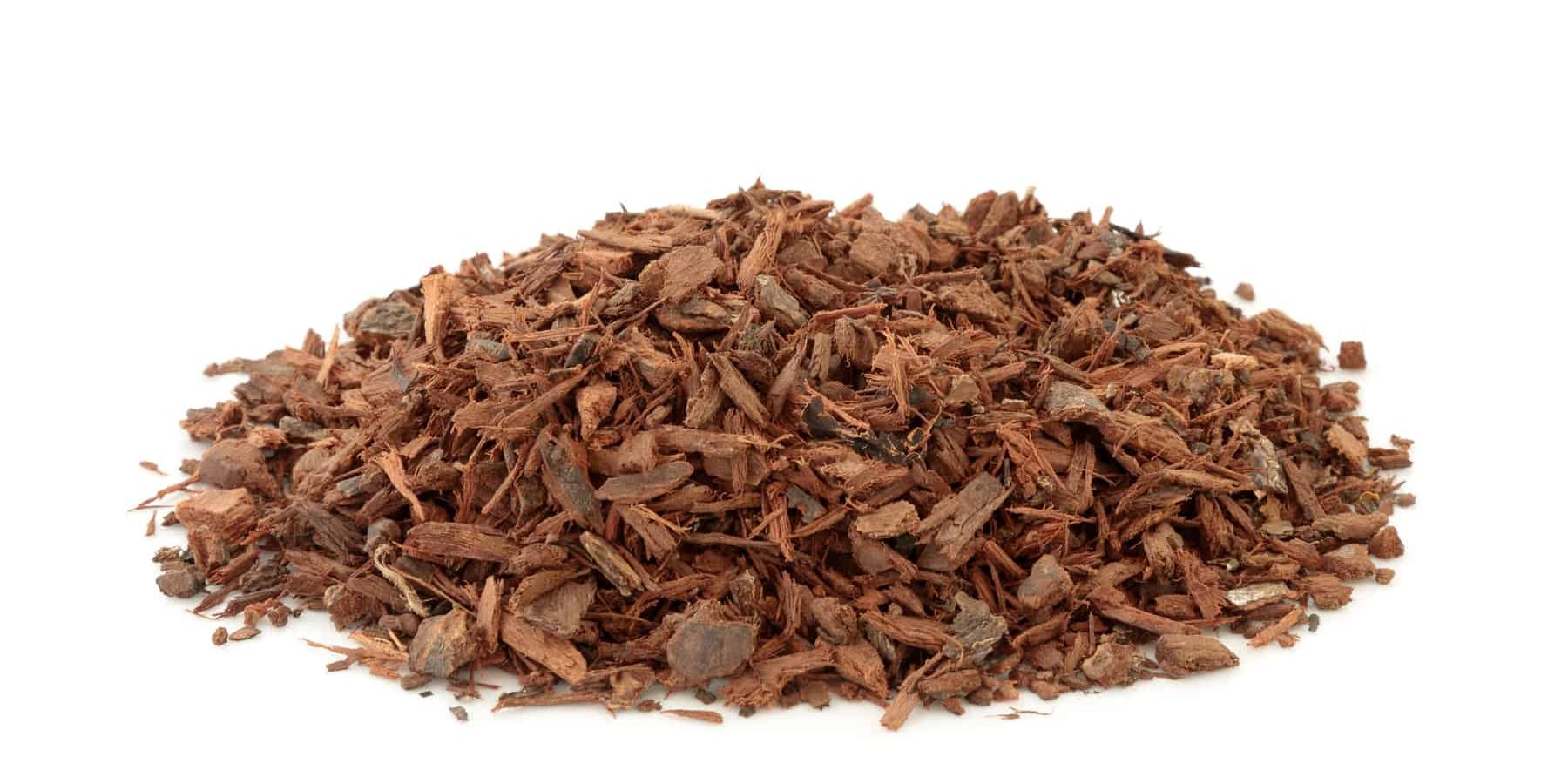 Choosing the Best Pygeum Supplement