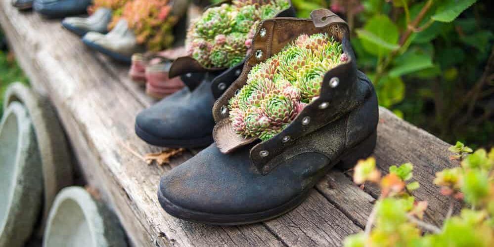 Old boots garden