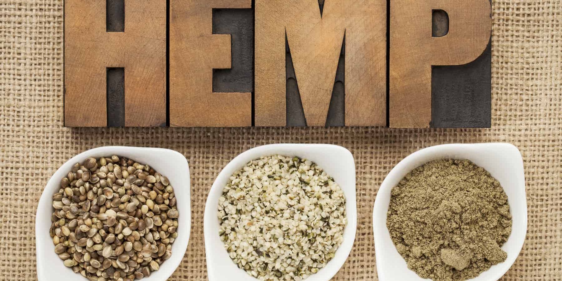 Choosing the Best Hemp Protein Powder