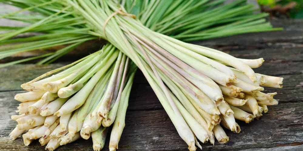 Lemongrass Essential Oil