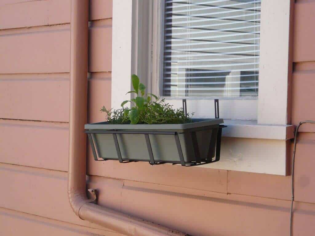 Window Box Herb Garden