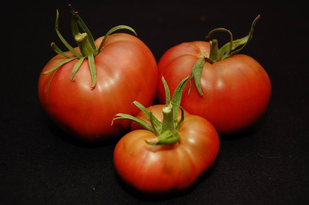 Cherokee Purple Tomatoes