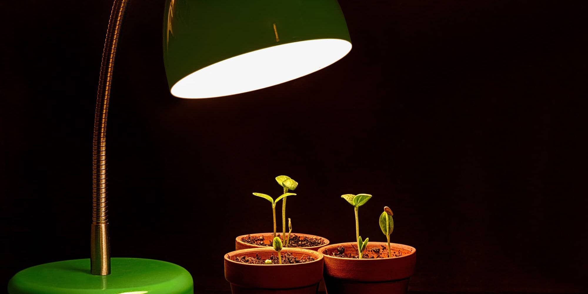 Hydroponic or Aquaponic Grow Lights